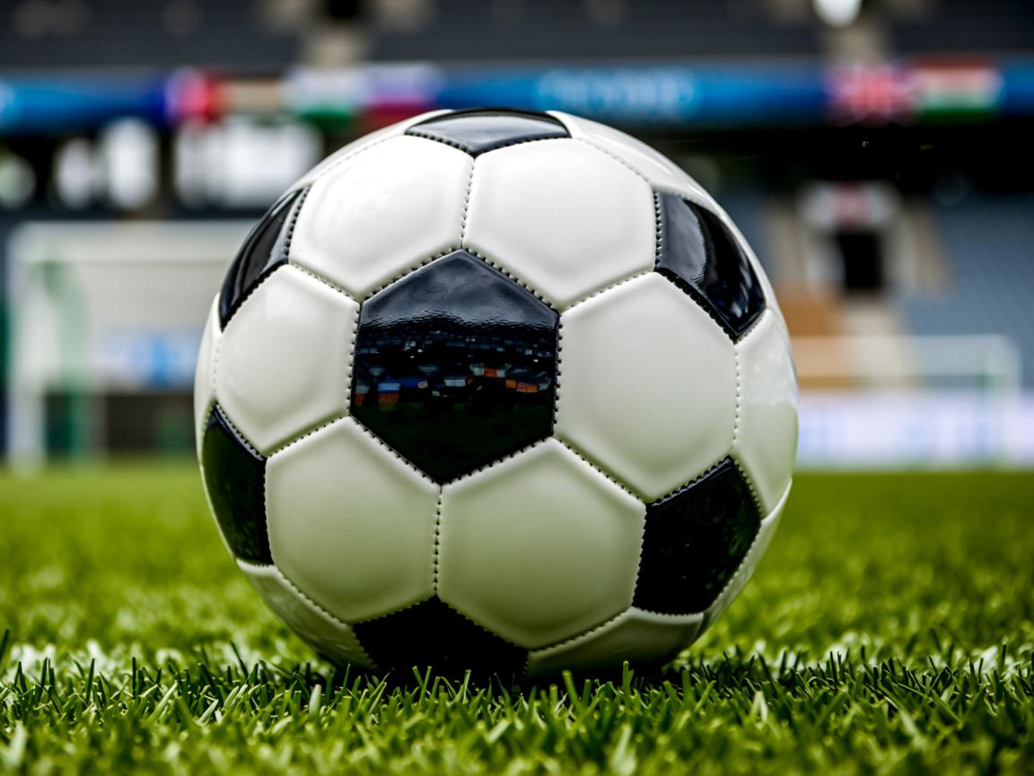 开云体育app下载-“香港亲子跑步：牛仔3K亲子跑点燃运动与爱”