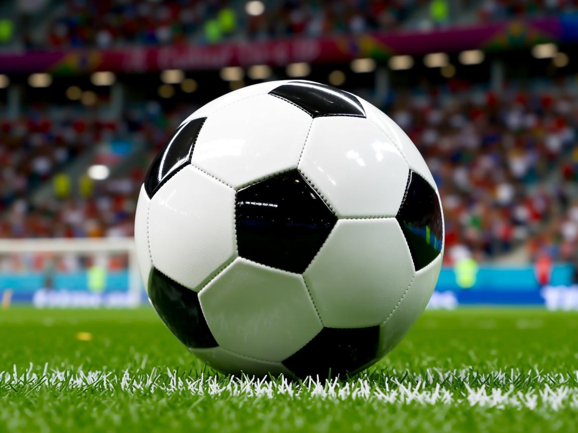 开云官方网-体育新闻中心参与制定行业数字化标准，体育数字化建设  第3张