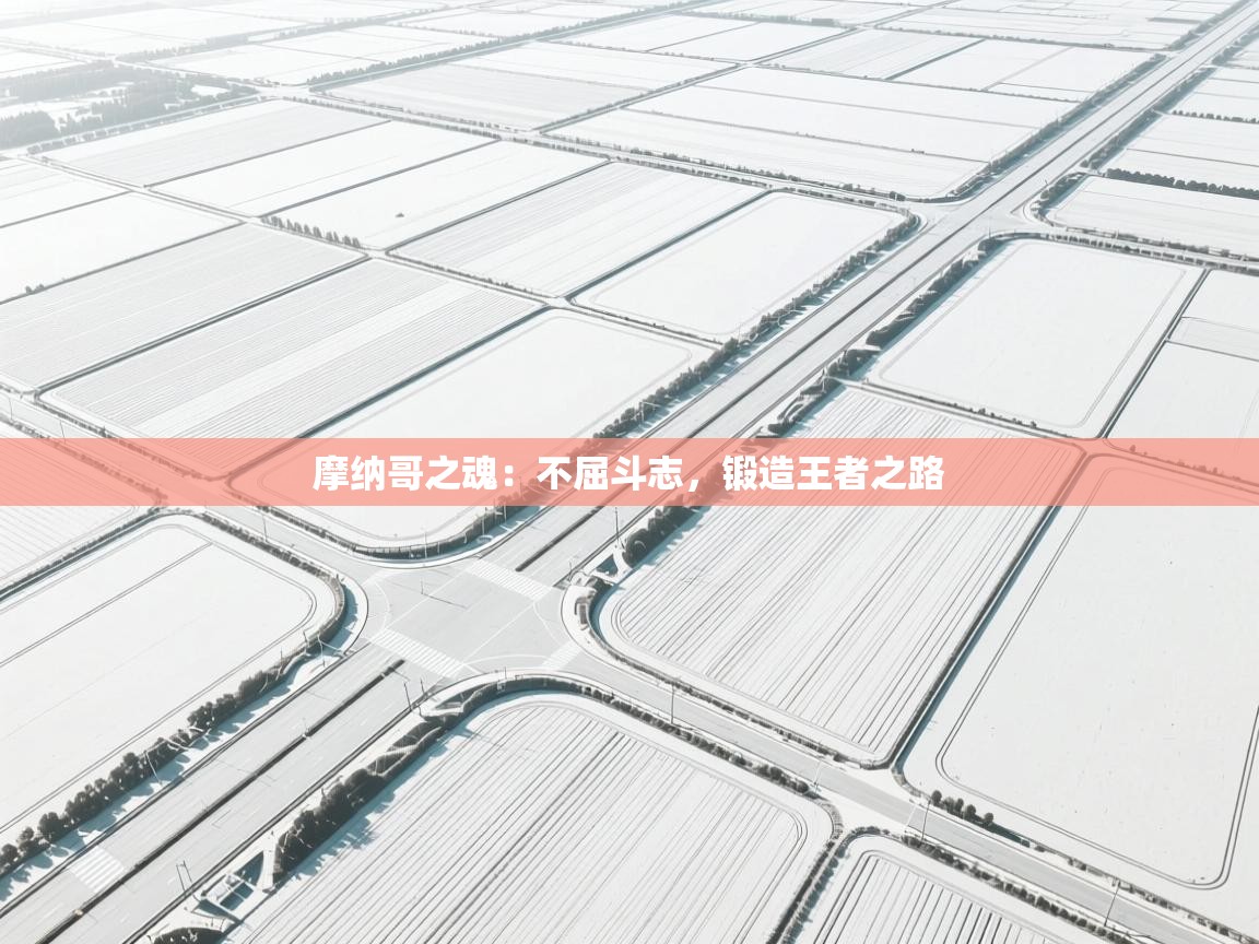 摩纳哥之魂：不屈斗志，锻造王者之路