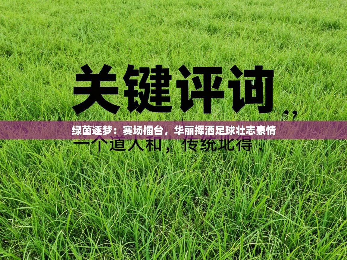 绿茵逐梦：赛场擂台，华丽挥洒足球壮志豪情